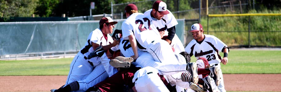 5-baseball2013dogpile_banner